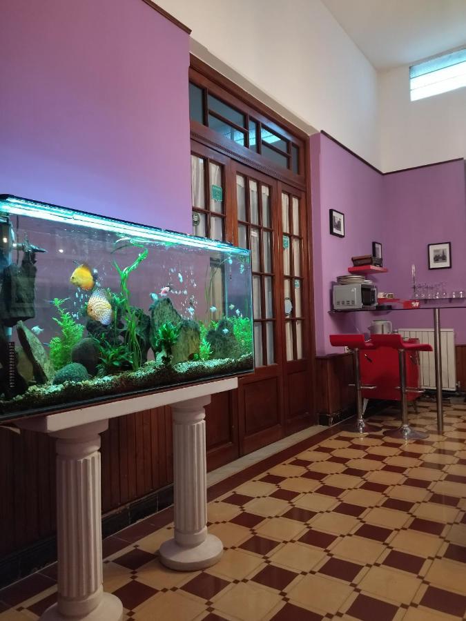 Cane B&B Montevideo Eksteriør bilde